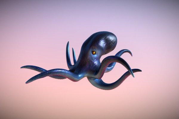 Kraken зеркало krakens13 at