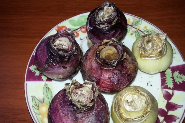 Ссылка на кракен через тор