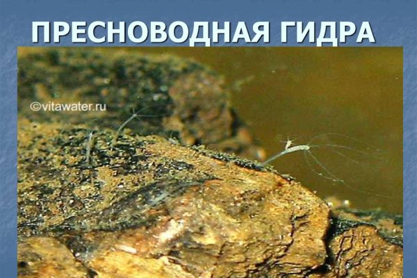 Кракен вход на сайт