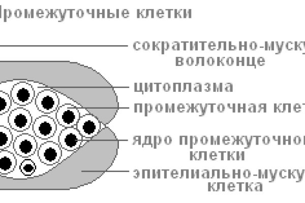 Ссылка кракен kr2web in