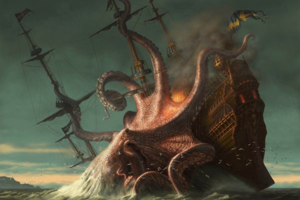 Kraken whitenet store