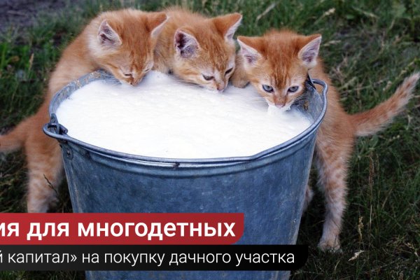 Кракен активная ссылка
