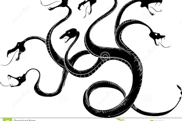 Kraken whitenet kraken whitenet 2n com