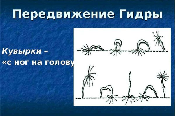 Whitenet ссылки